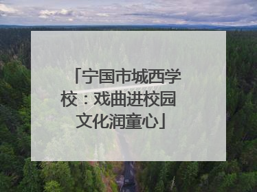 宁国市城西学校：戏曲进校园 文化润童心